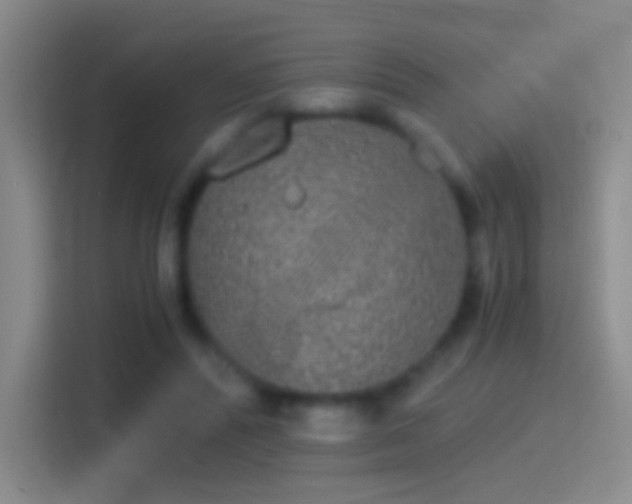 X0000114390400200910231021