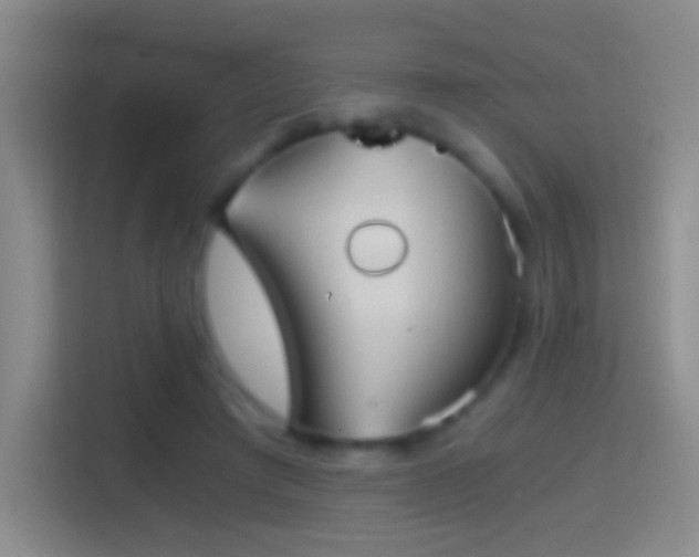 X0000114390401200910231021