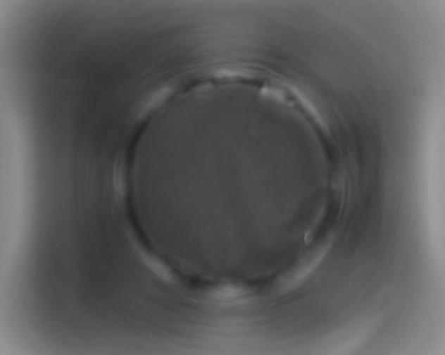X0000114390402200910231021