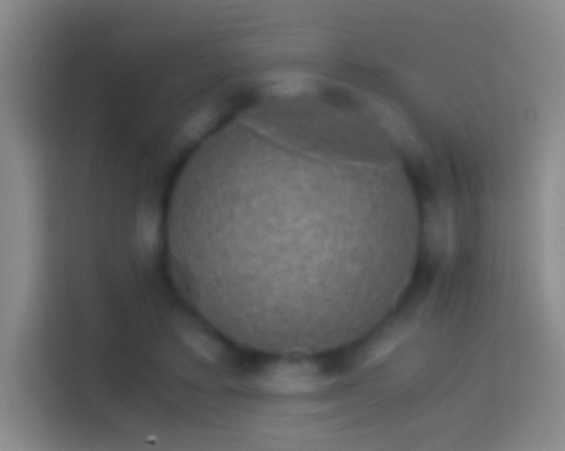 X0000114390403200910231021