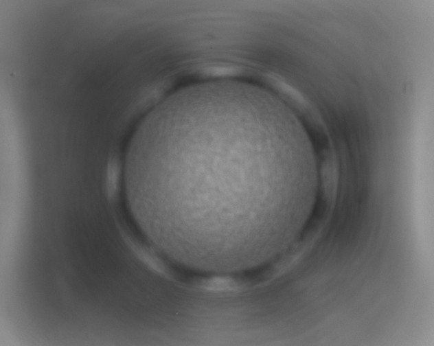 X0000114390406200910231020
