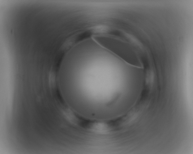 X0000114390409200910231020