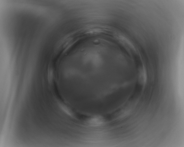 X0000114390410200910231020
