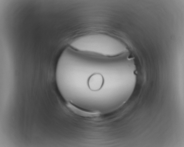 X0000114390411200910231020