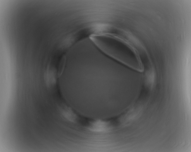 X0000114390413200910231020