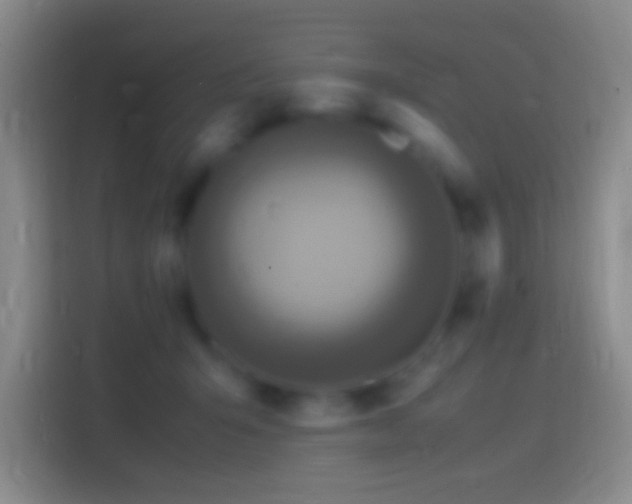 X0000114390415200910231020