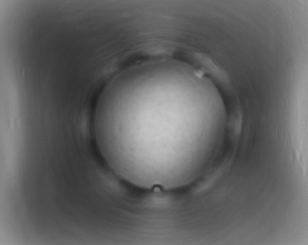 X0000114390416200910231020