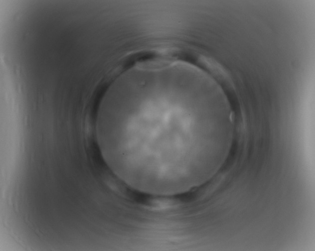 X0000114390417200910231020
