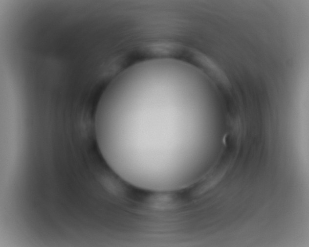 X0000114390418200910231020