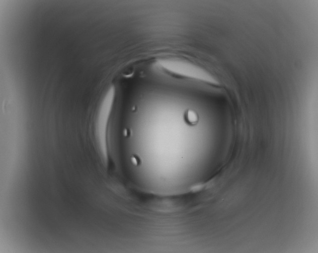 X0000114390419200910231020