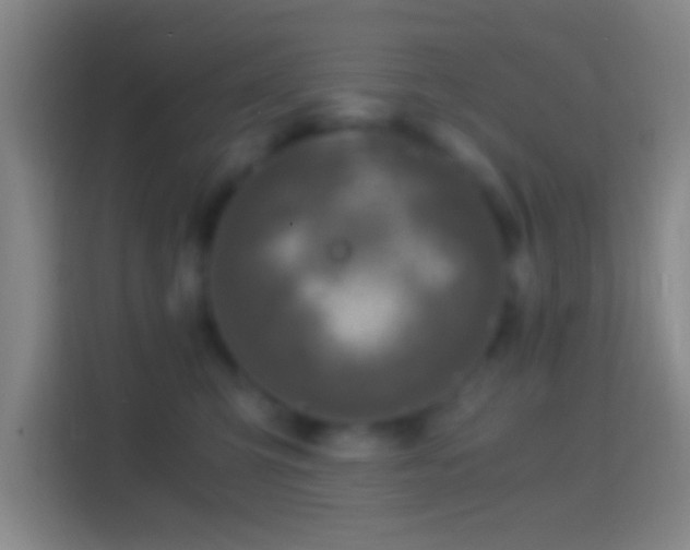 X0000114390423200910231020