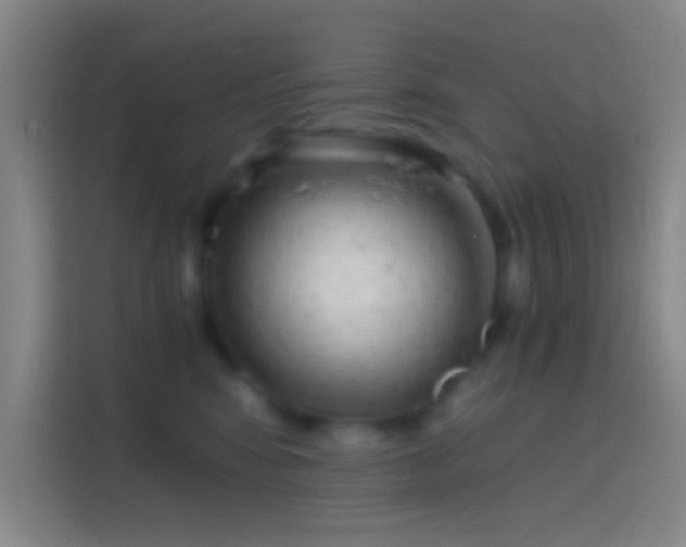 X0000114390424200910231020