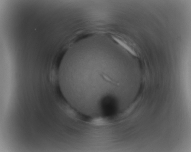 X0000114390425200910231020