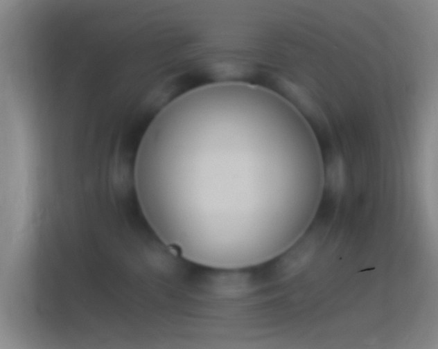 X0000114390426200910231020