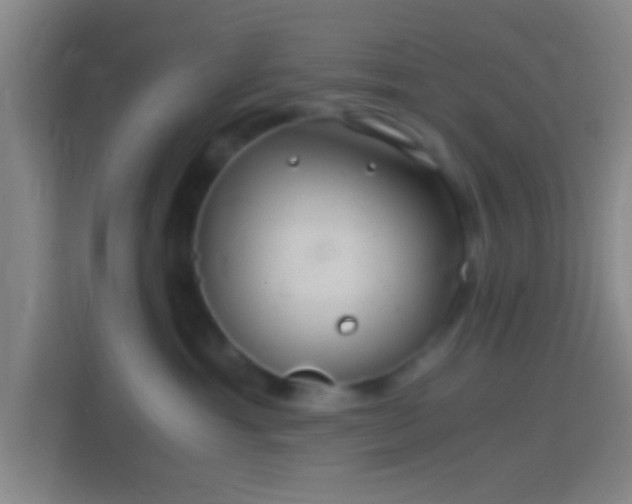 X0000114390429200910231020