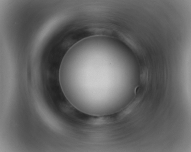 X0000114390430200910231020
