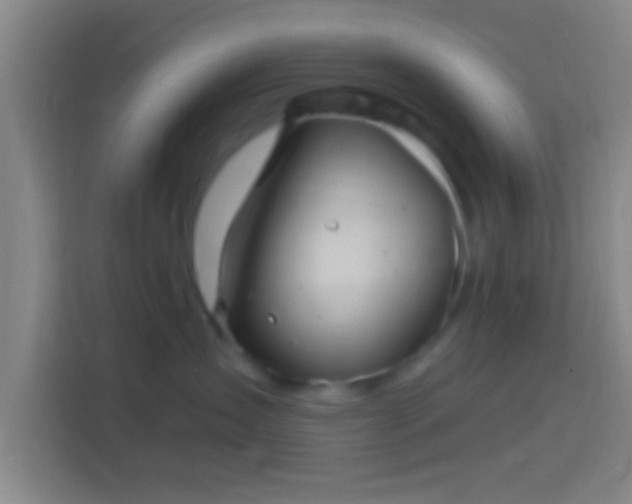X0000114390431200910231020