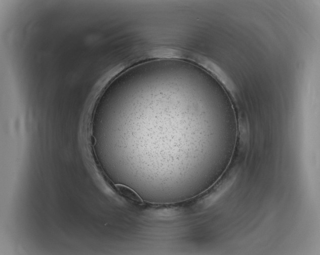 X0000114390433200910231020