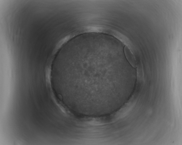 X0000114390434200910231020