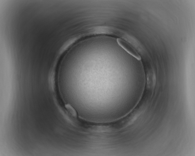 X0000114390436200910231020