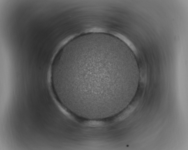X0000114390437200910231020