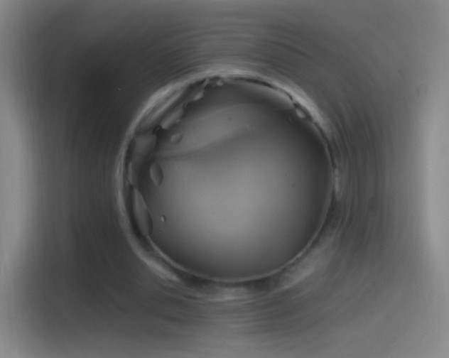 X0000114390438200910231020