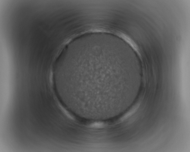 X0000114390441200910231020