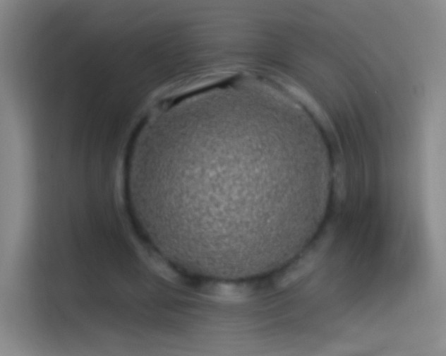X0000114390442200910231020