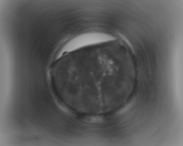 X0000114390443200910231020