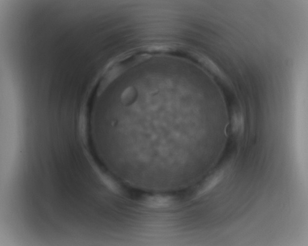 X0000114390444200910231020