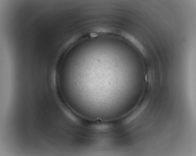 X0000114390445200910231020