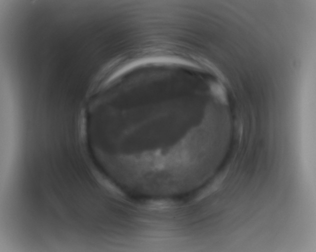 X0000114390446200910231020