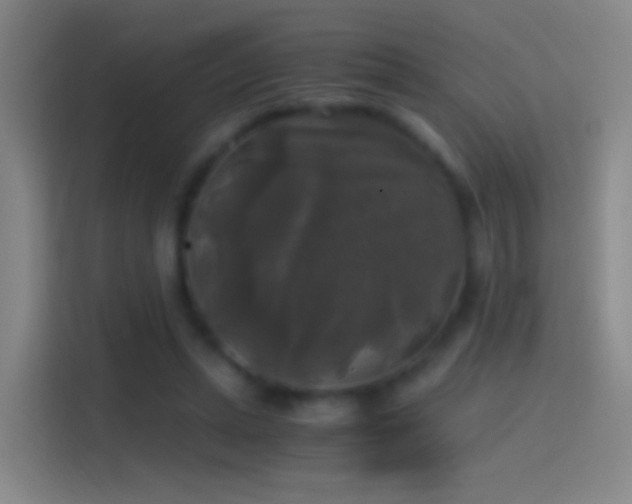 X0000114390447200910231020
