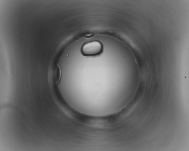 X0000114390448200910231020