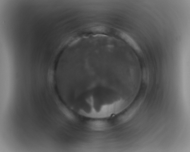 X0000114390449200910231020
