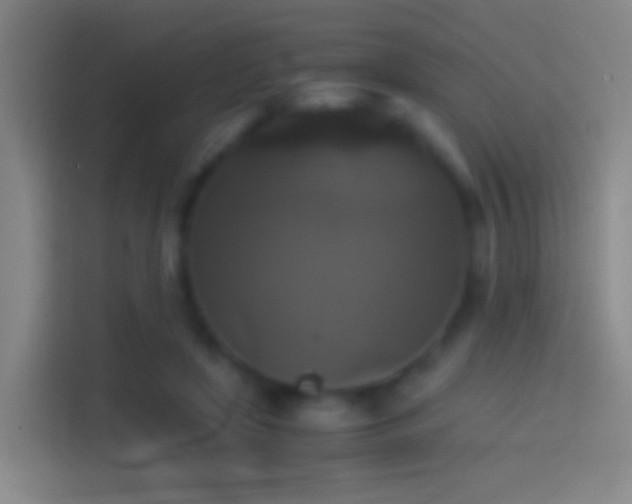 X0000114390451200910231020