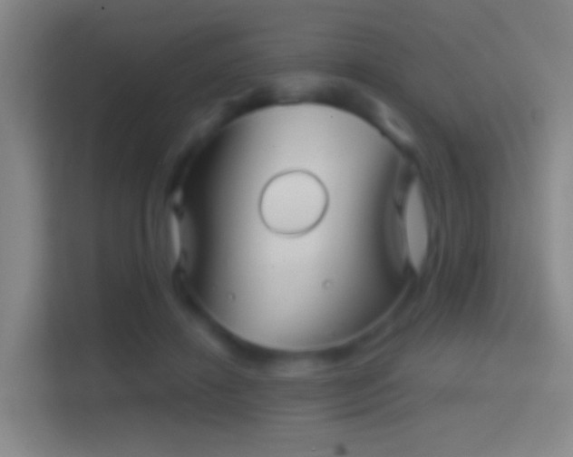 X0000114390452200910231020