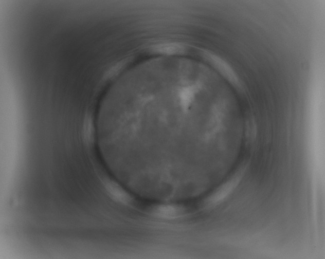 X0000114390453200910231020