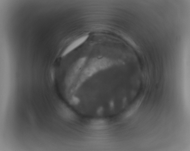 X0000114390454200910231020