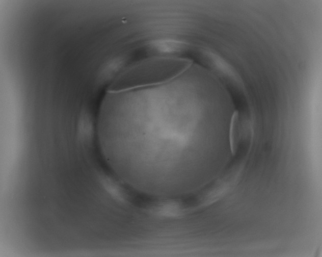 X0000114390456200910231020