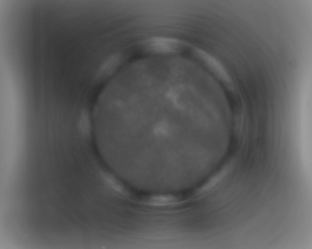 X0000114390457200910231020