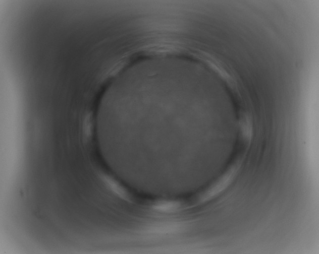 X0000114390458200910231020