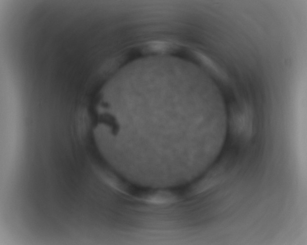 X0000114390459200910231020