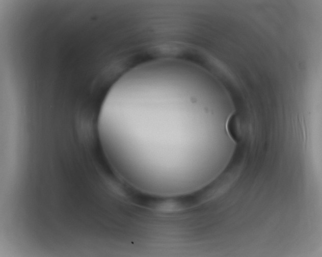 X0000114390460200910231020