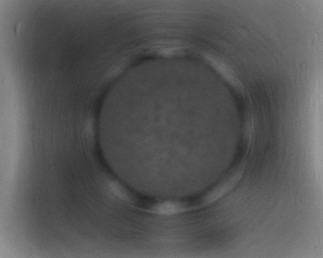X0000114390461200910231020