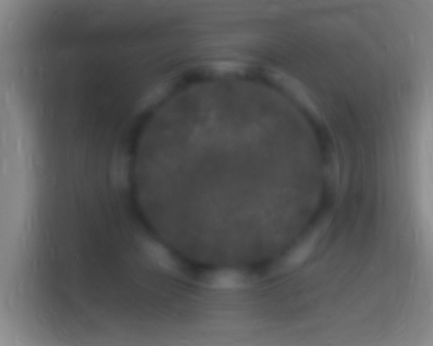 X0000114390462200910231020