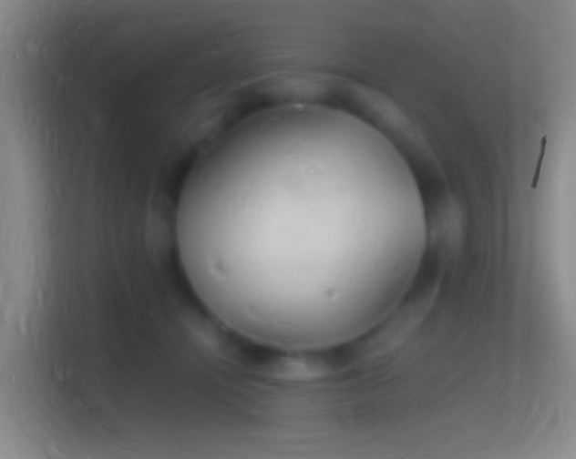 X0000114390464200910231020