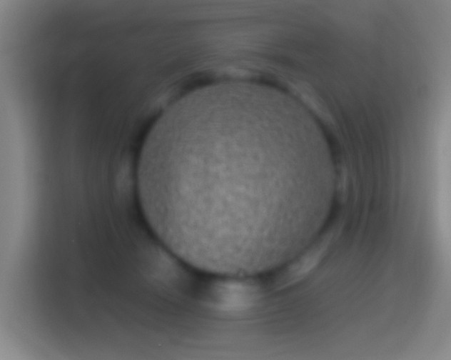 X0000114390466200910231020