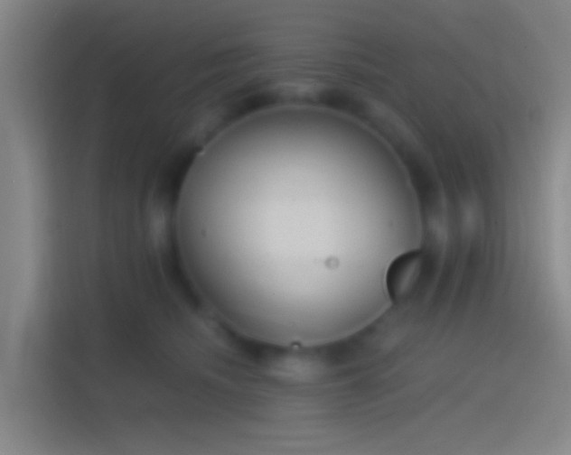 X0000114390468200910231020