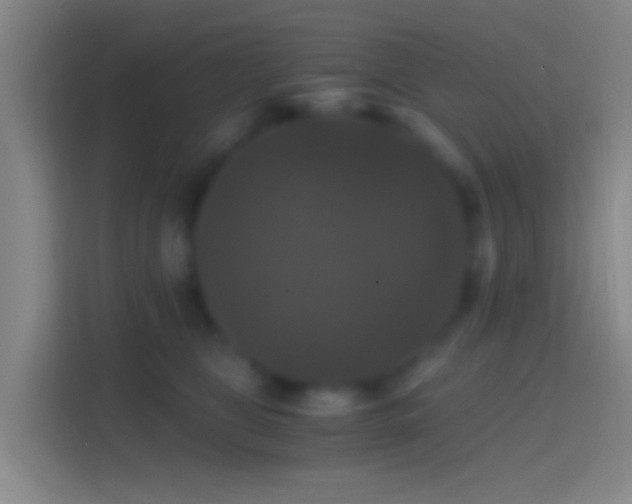 X0000114390469200910231020